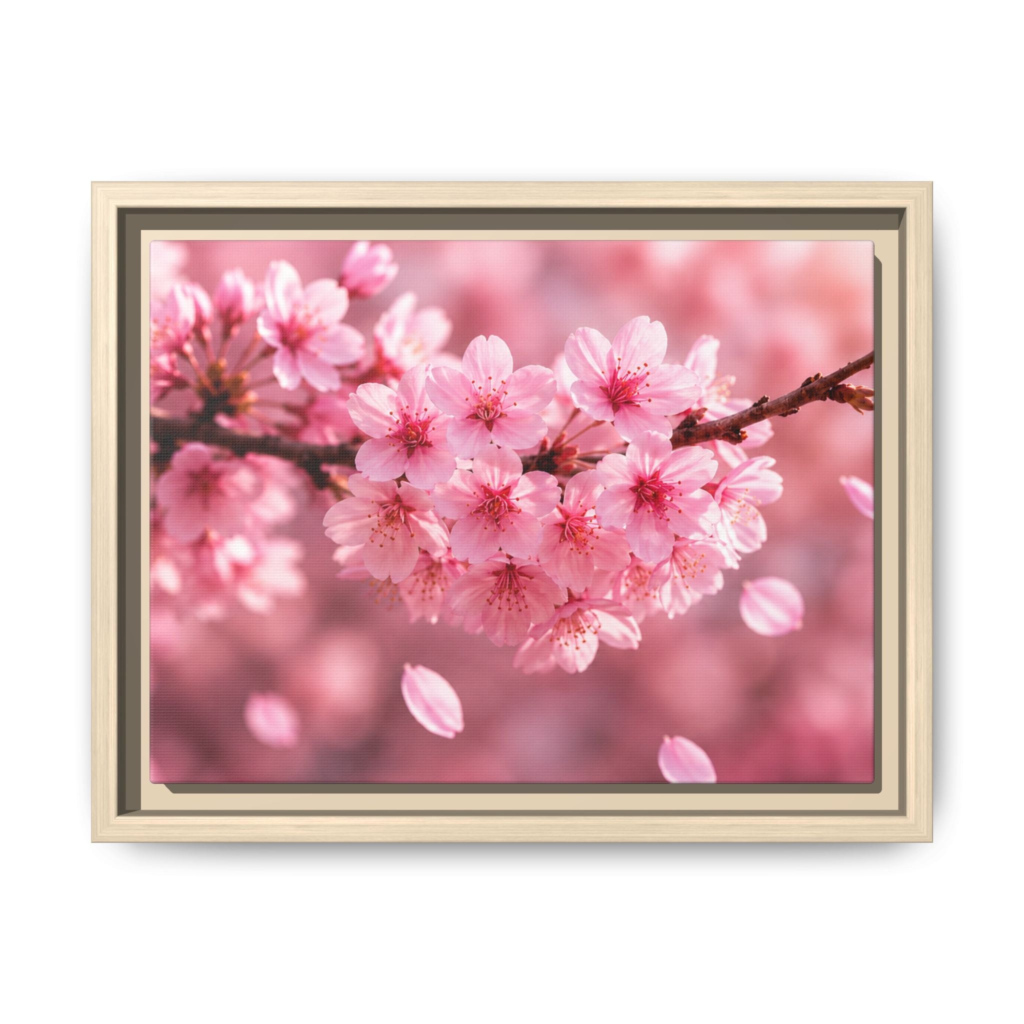 Framed sakura Blossom Canvas Print — Pink Sakura Wall Art