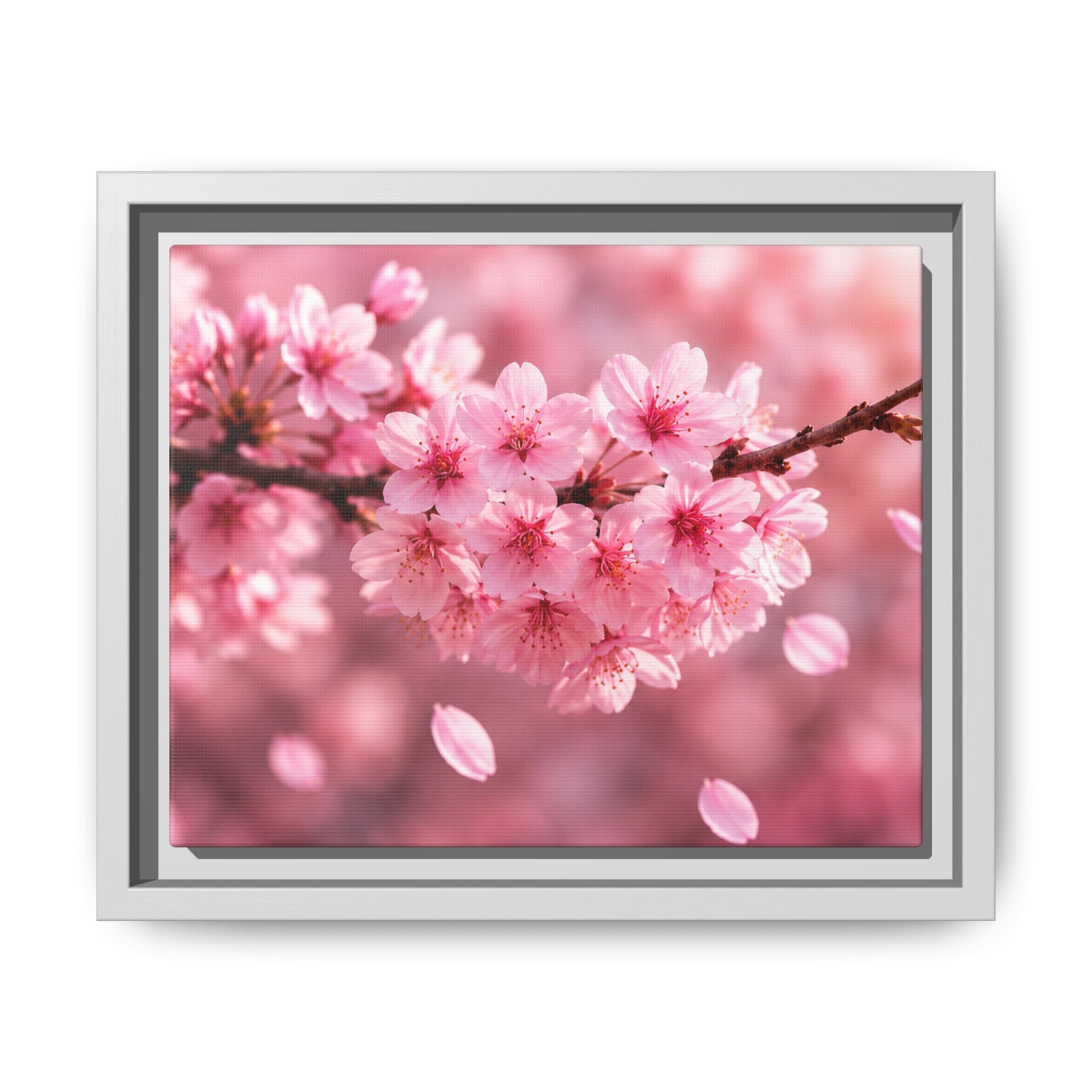 Framed sakura Blossom Canvas Print — Pink Sakura Wall Art