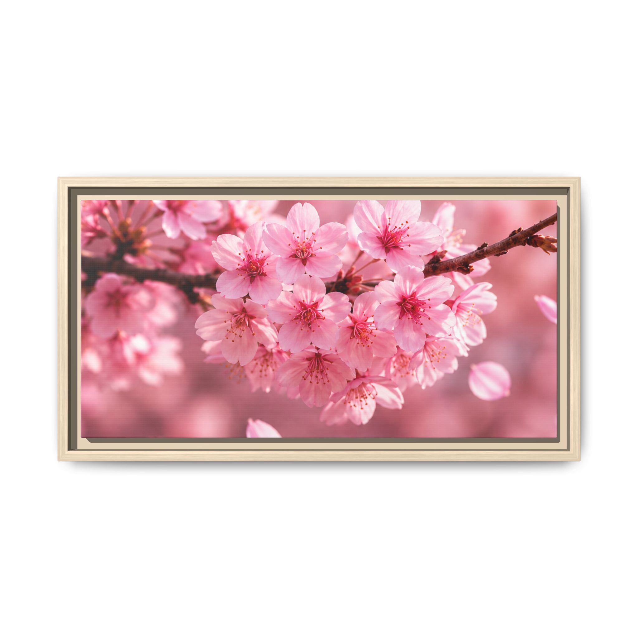 Framed sakura Blossom Canvas Print — Pink Sakura Wall Art