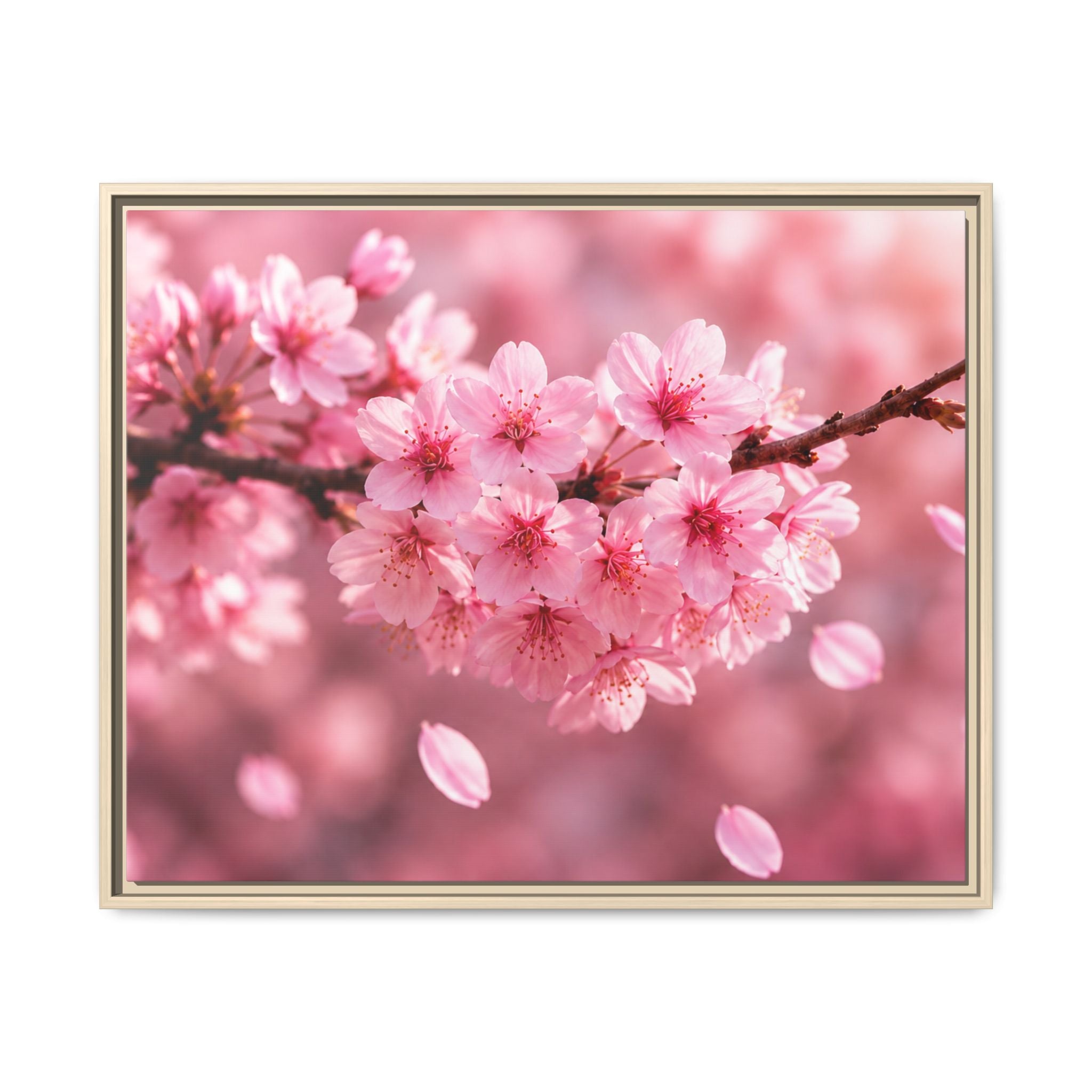 Framed sakura Blossom Canvas Print — Pink Sakura Wall Art