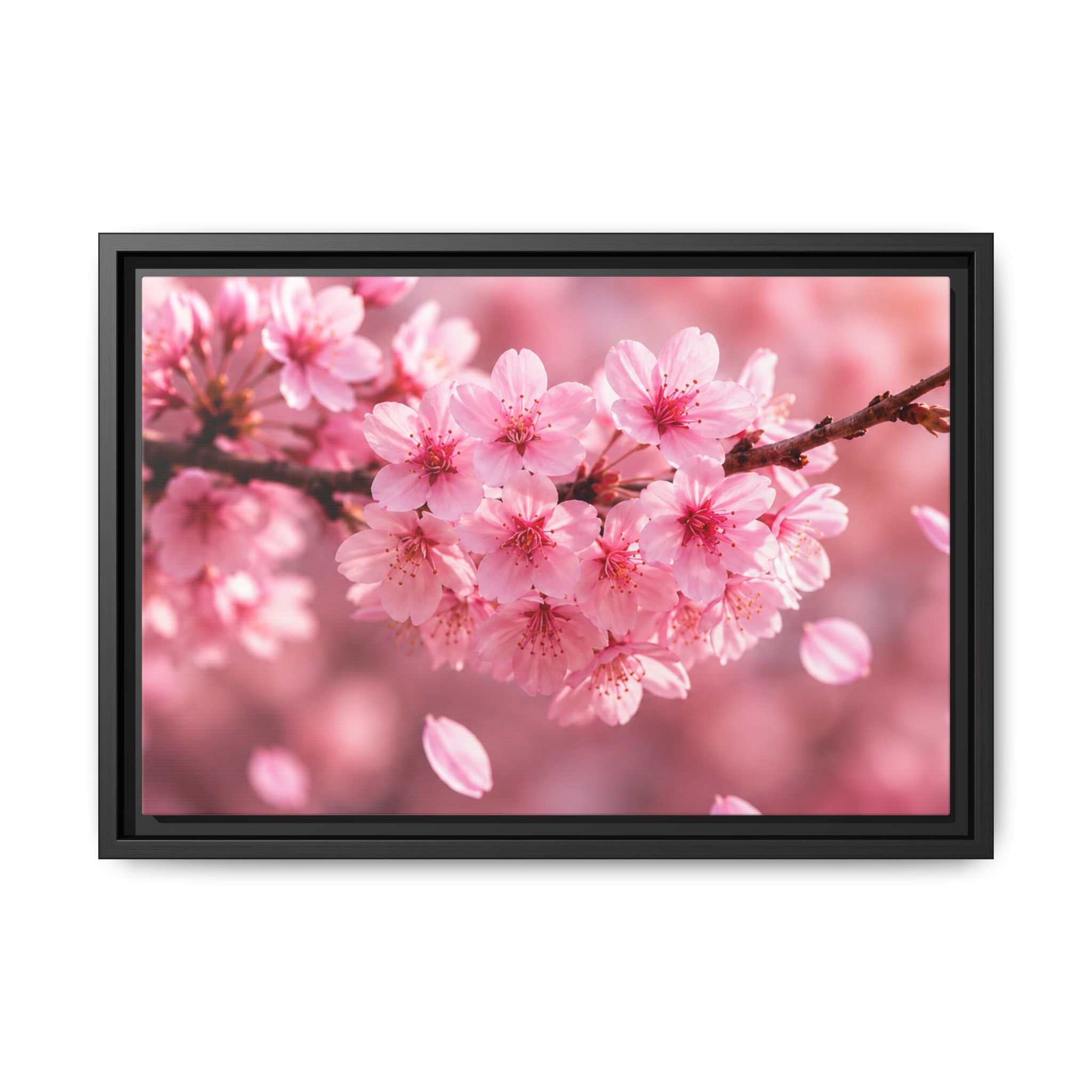 Framed sakura Blossom Canvas Print — Pink Sakura Wall Art