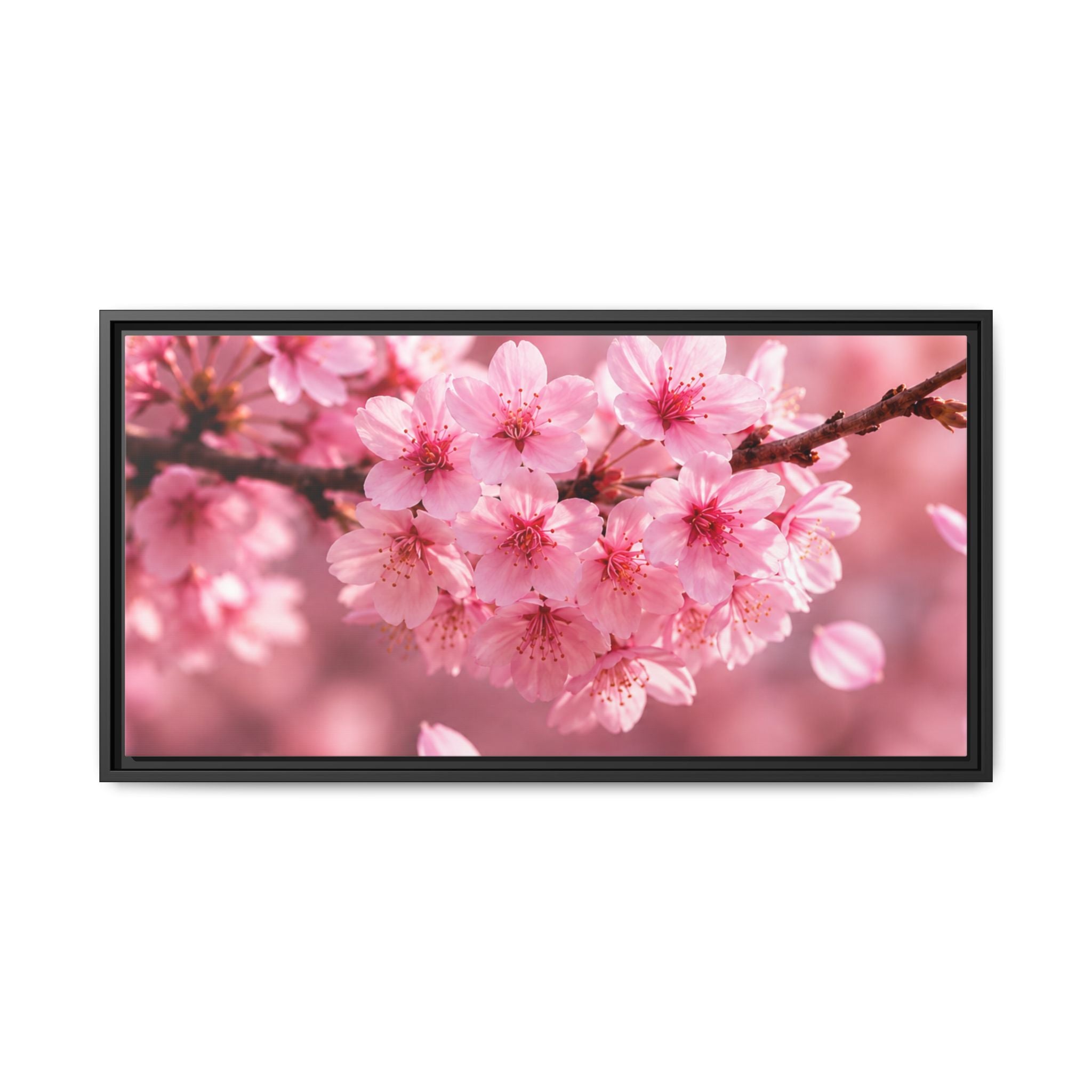 Framed sakura Blossom Canvas Print — Pink Sakura Wall Art