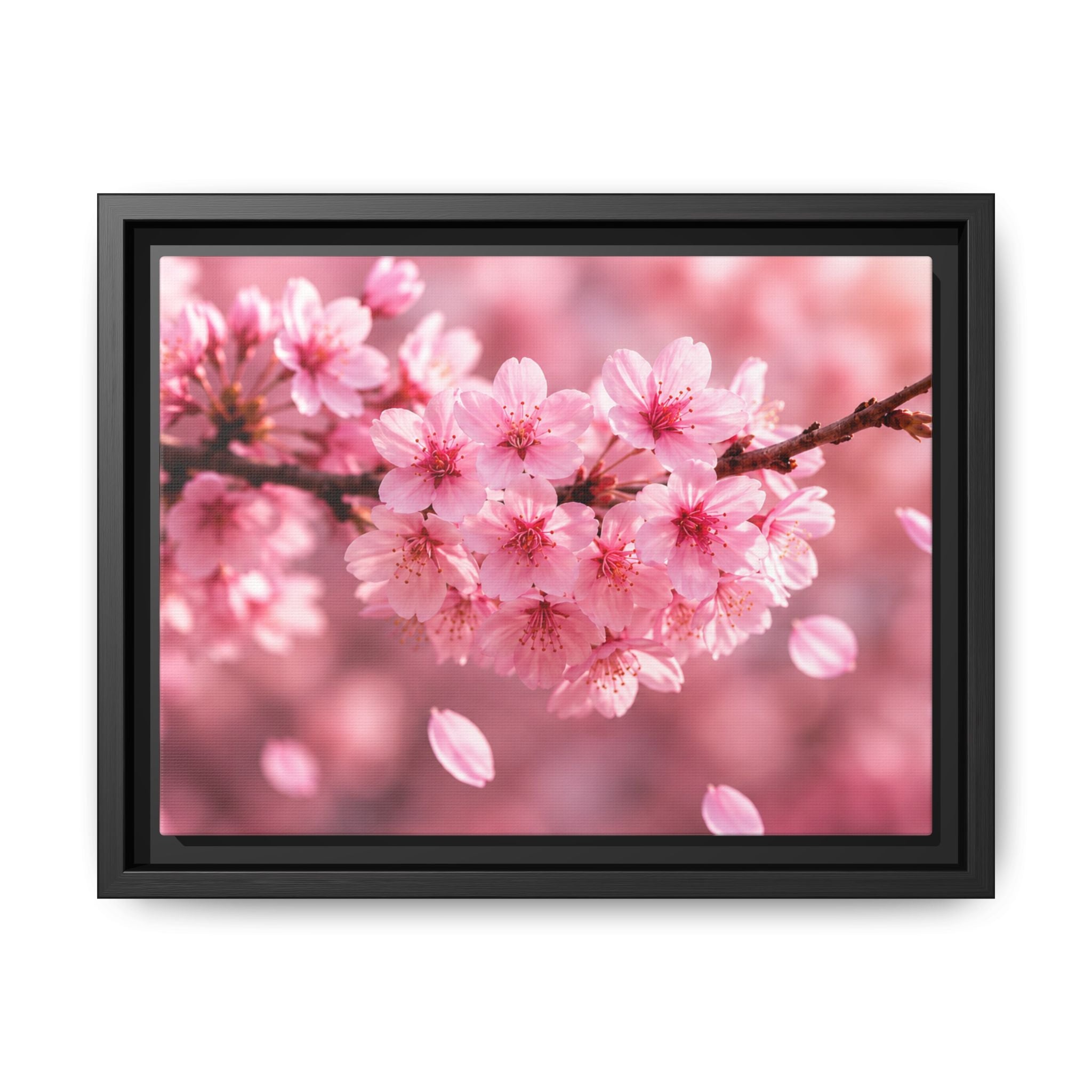 Framed sakura Blossom Canvas Print — Pink Sakura Wall Art