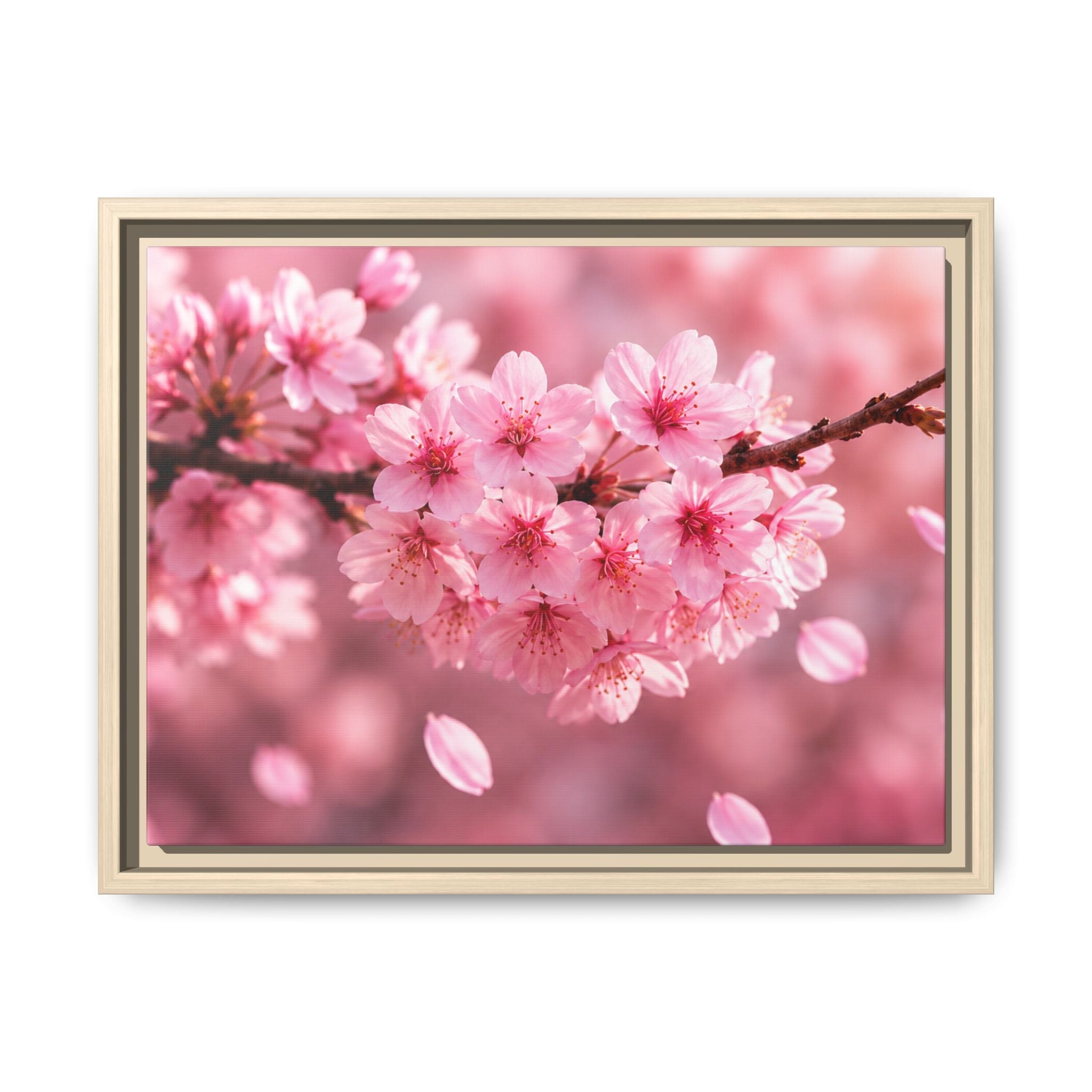Framed sakura Blossom Canvas Print — Pink Sakura Wall Art