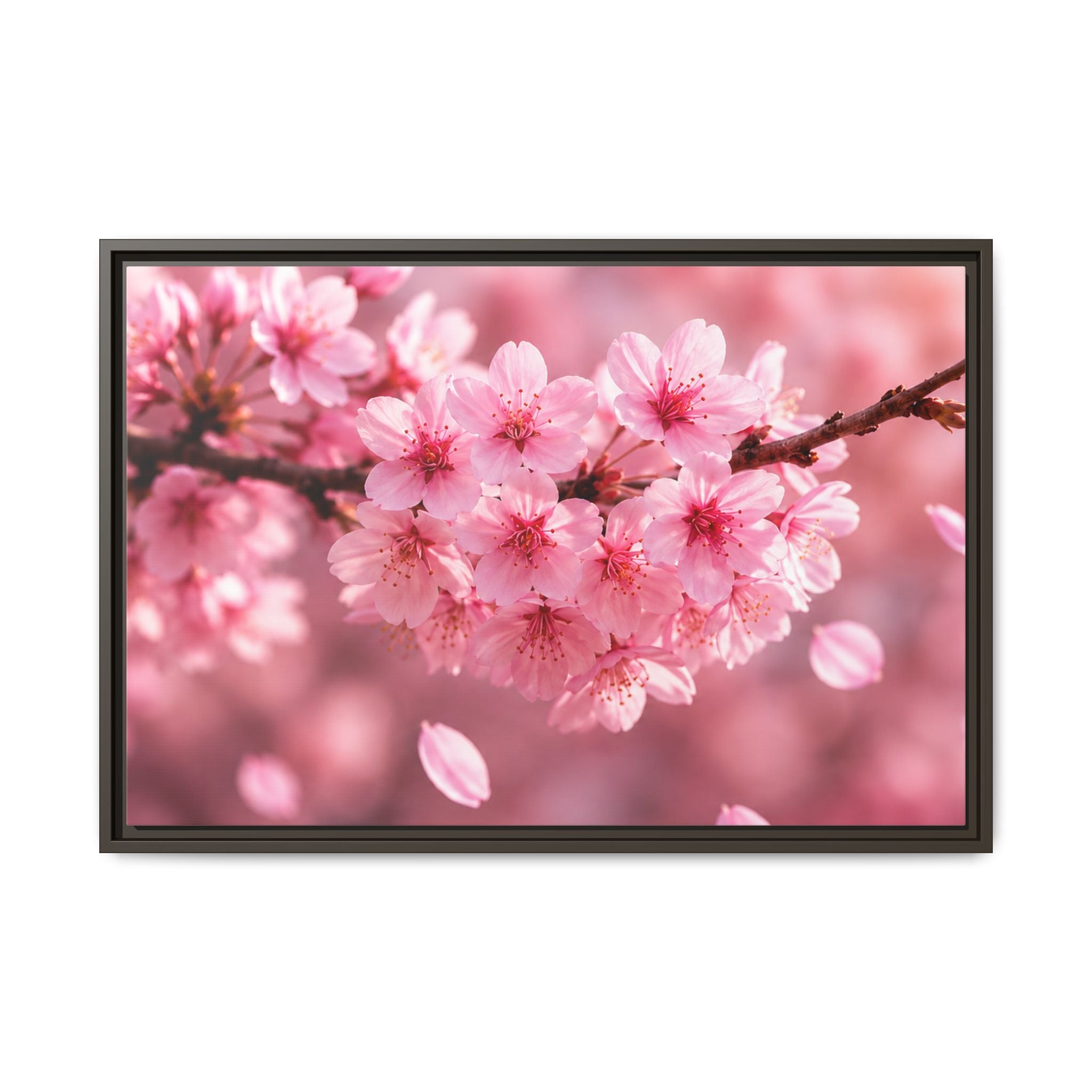 Framed sakura Blossom Canvas Print — Pink Sakura Wall Art