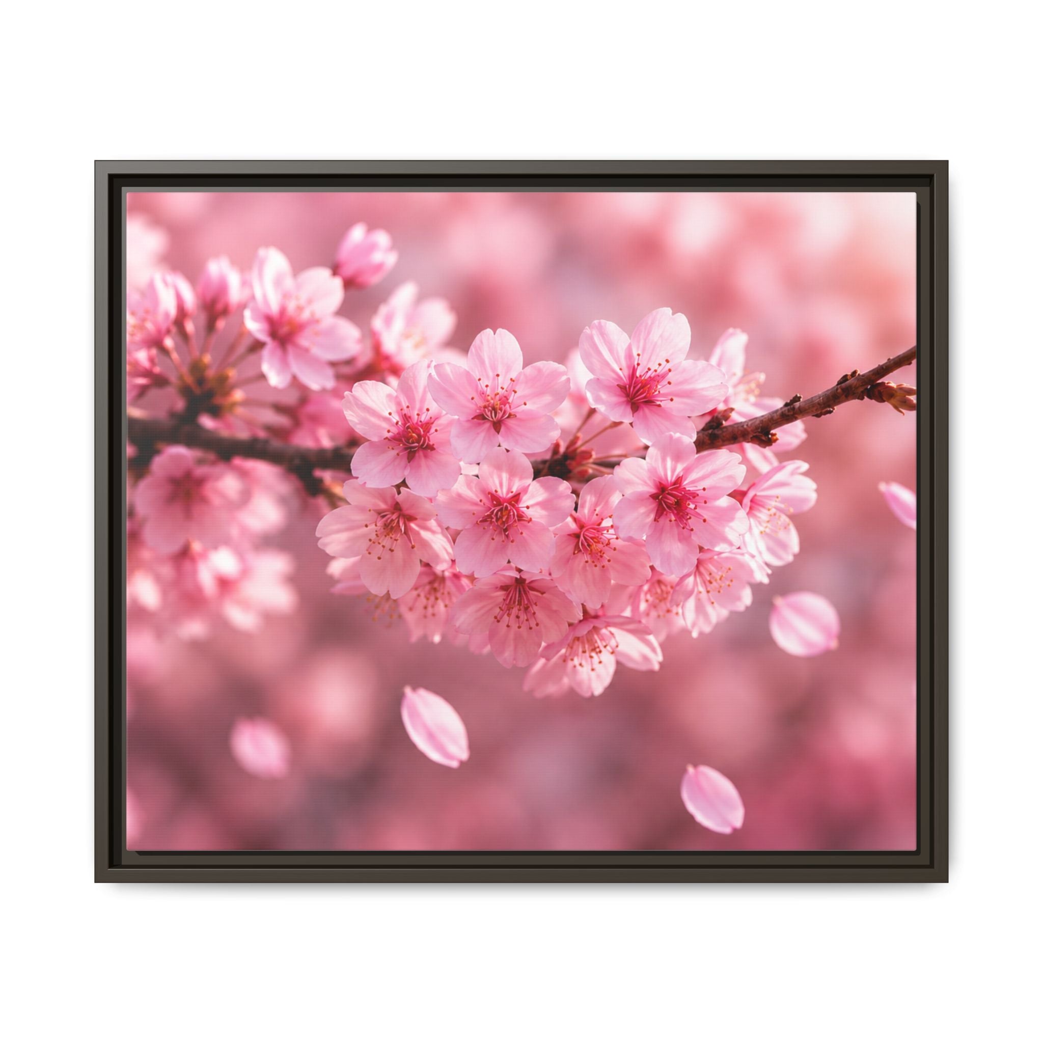 Framed sakura Blossom Canvas Print — Pink Sakura Wall Art
