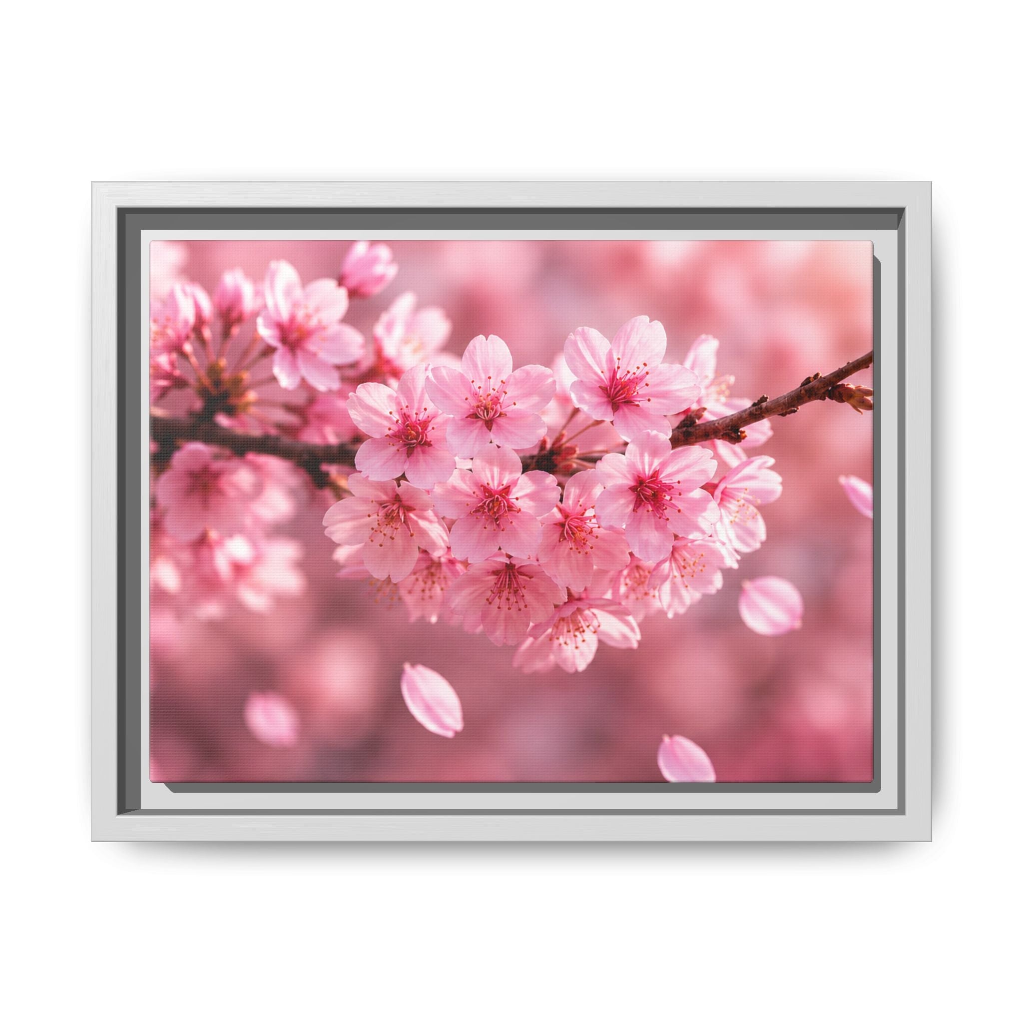 Framed sakura Blossom Canvas Print — Pink Sakura Wall Art