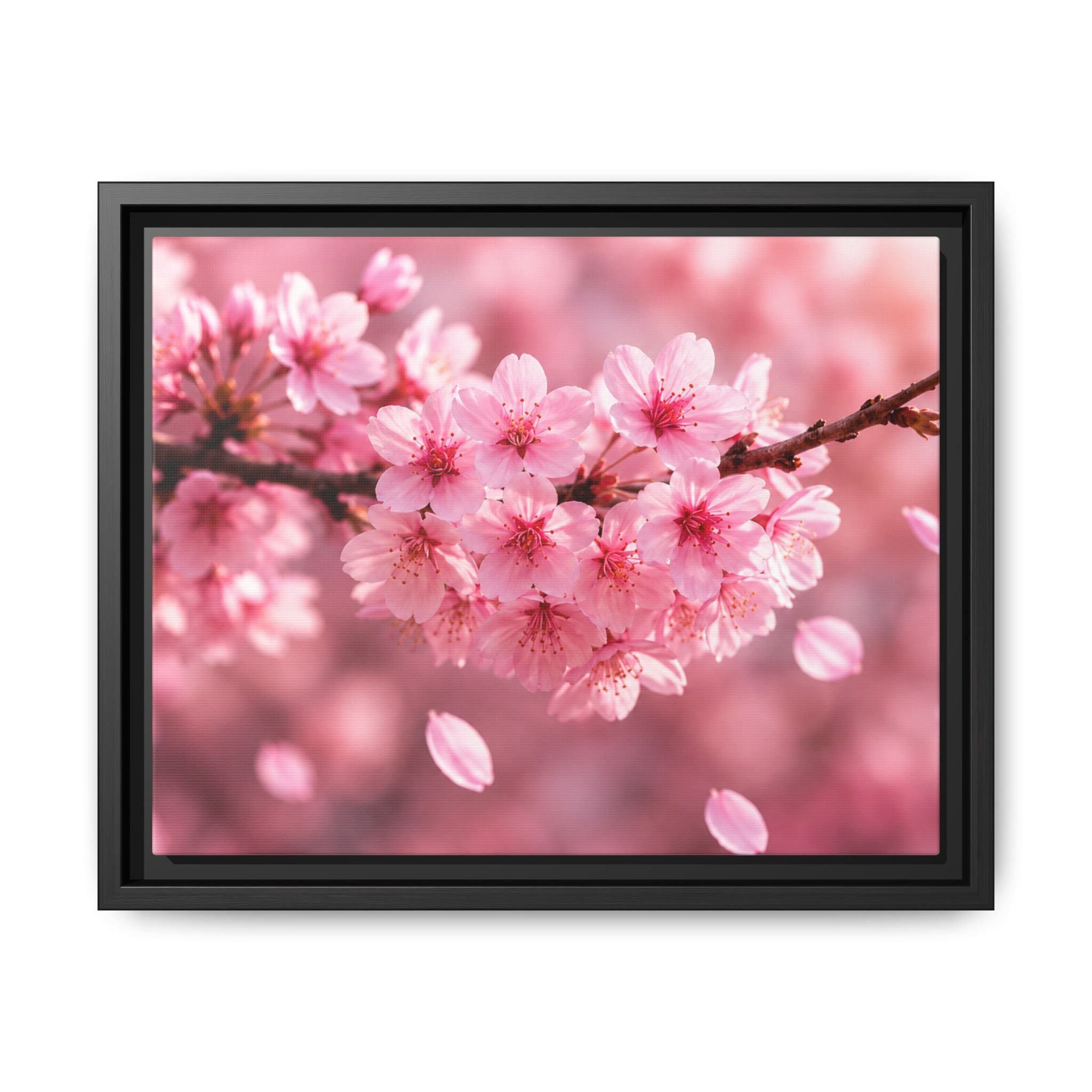 Framed sakura Blossom Canvas Print — Pink Sakura Wall Art