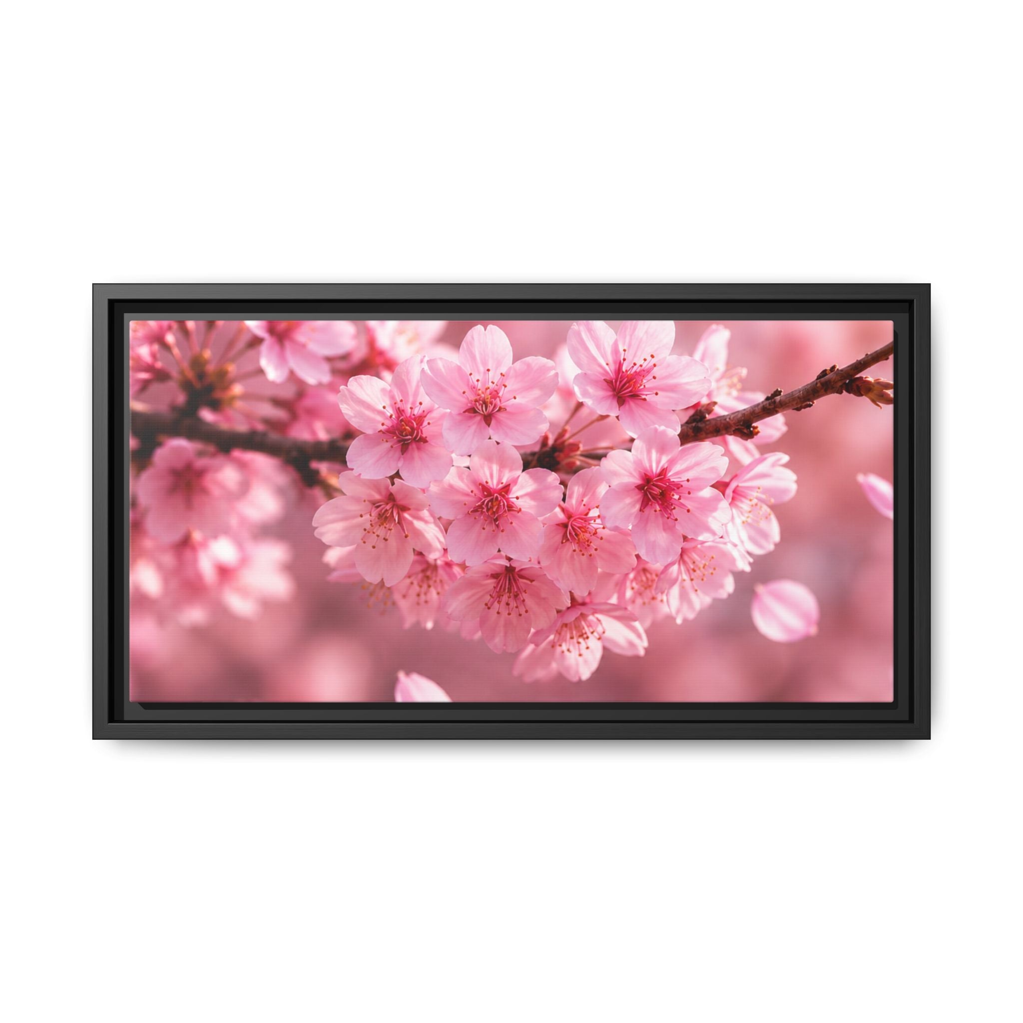 Framed sakura Blossom Canvas Print — Pink Sakura Wall Art