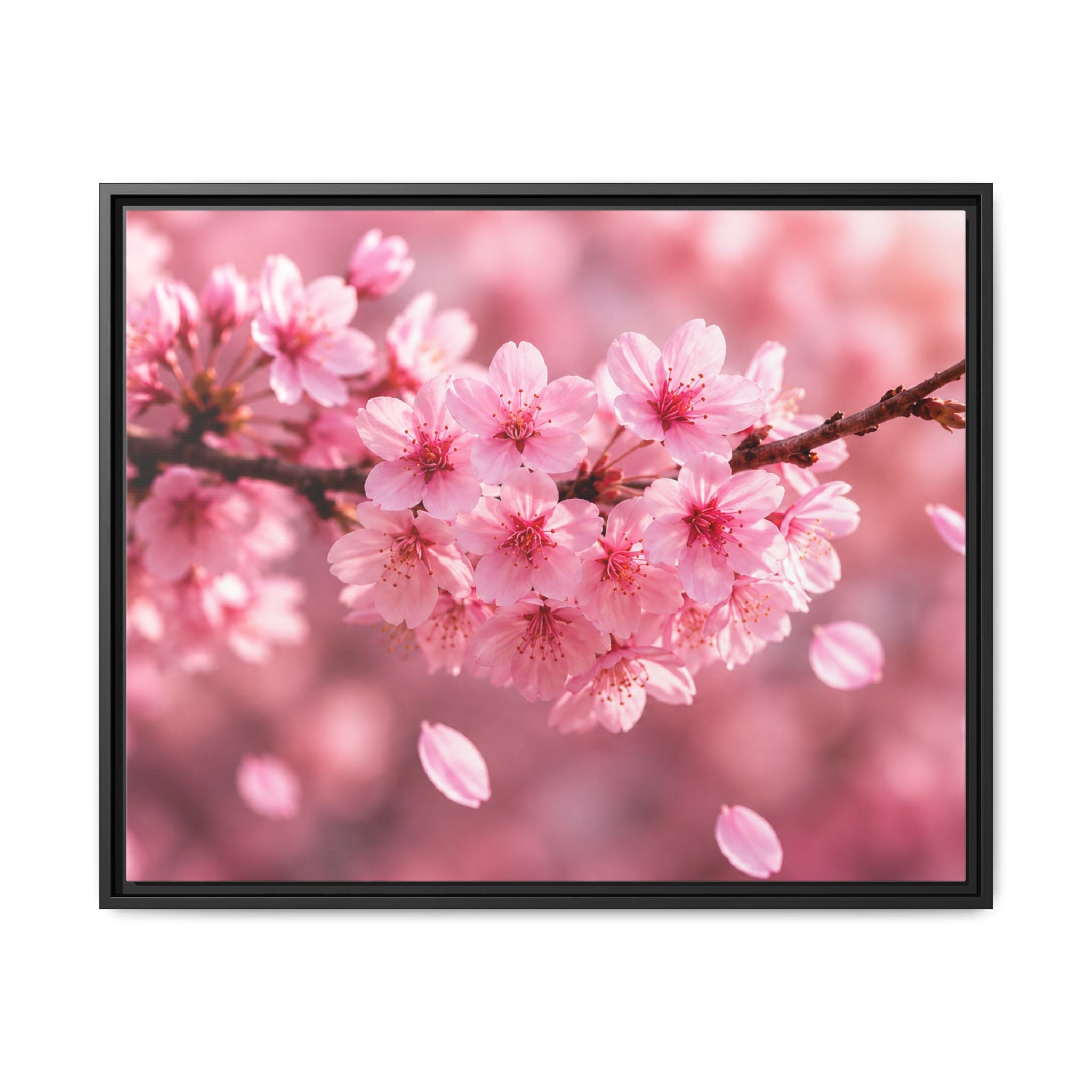 Framed sakura Blossom Canvas Print — Pink Sakura Wall Art