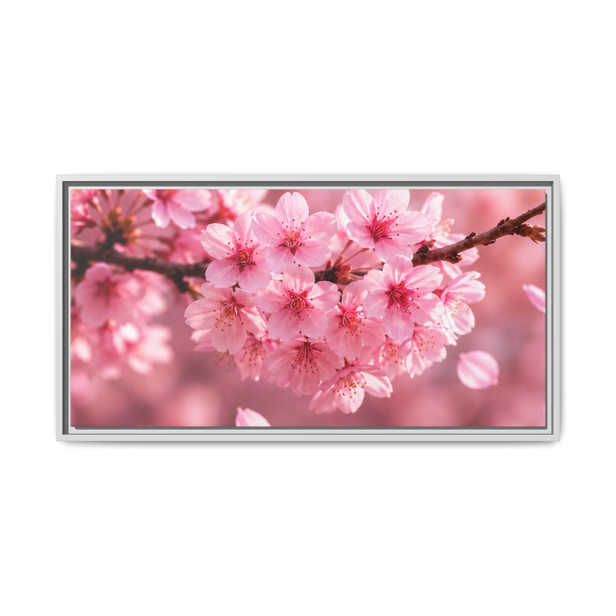 Framed sakura Blossom Canvas Print — Pink Sakura Wall Art