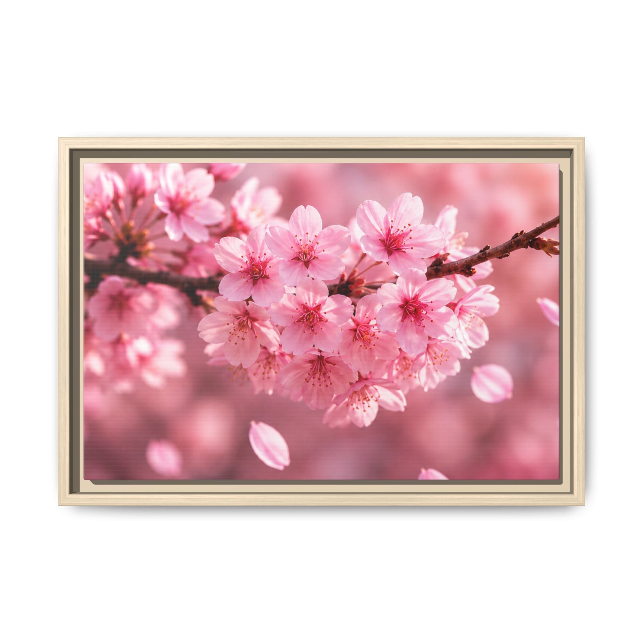 Framed sakura Blossom Canvas Print — Pink Sakura Wall Art