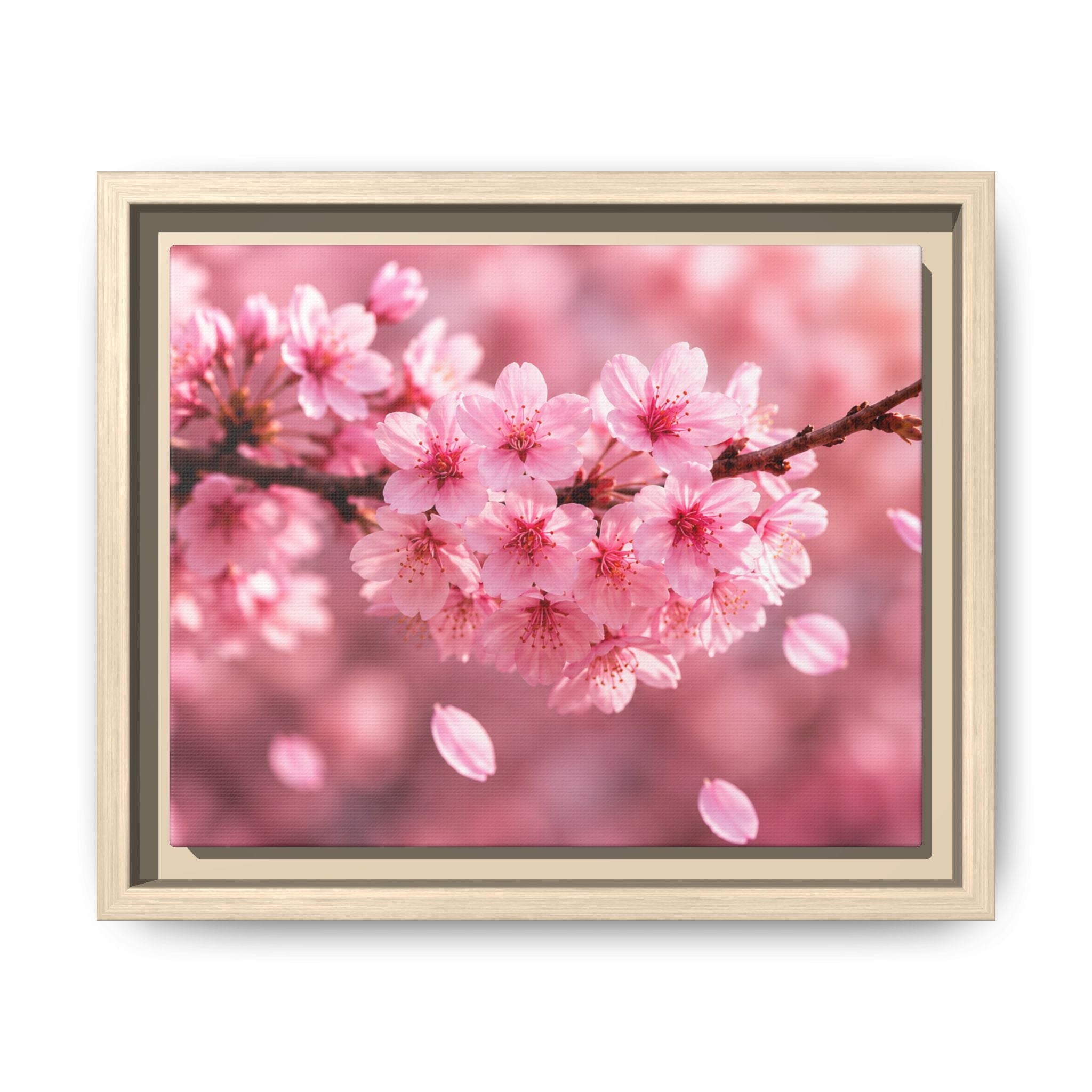 Framed sakura Blossom Canvas Print — Pink Sakura Wall Art