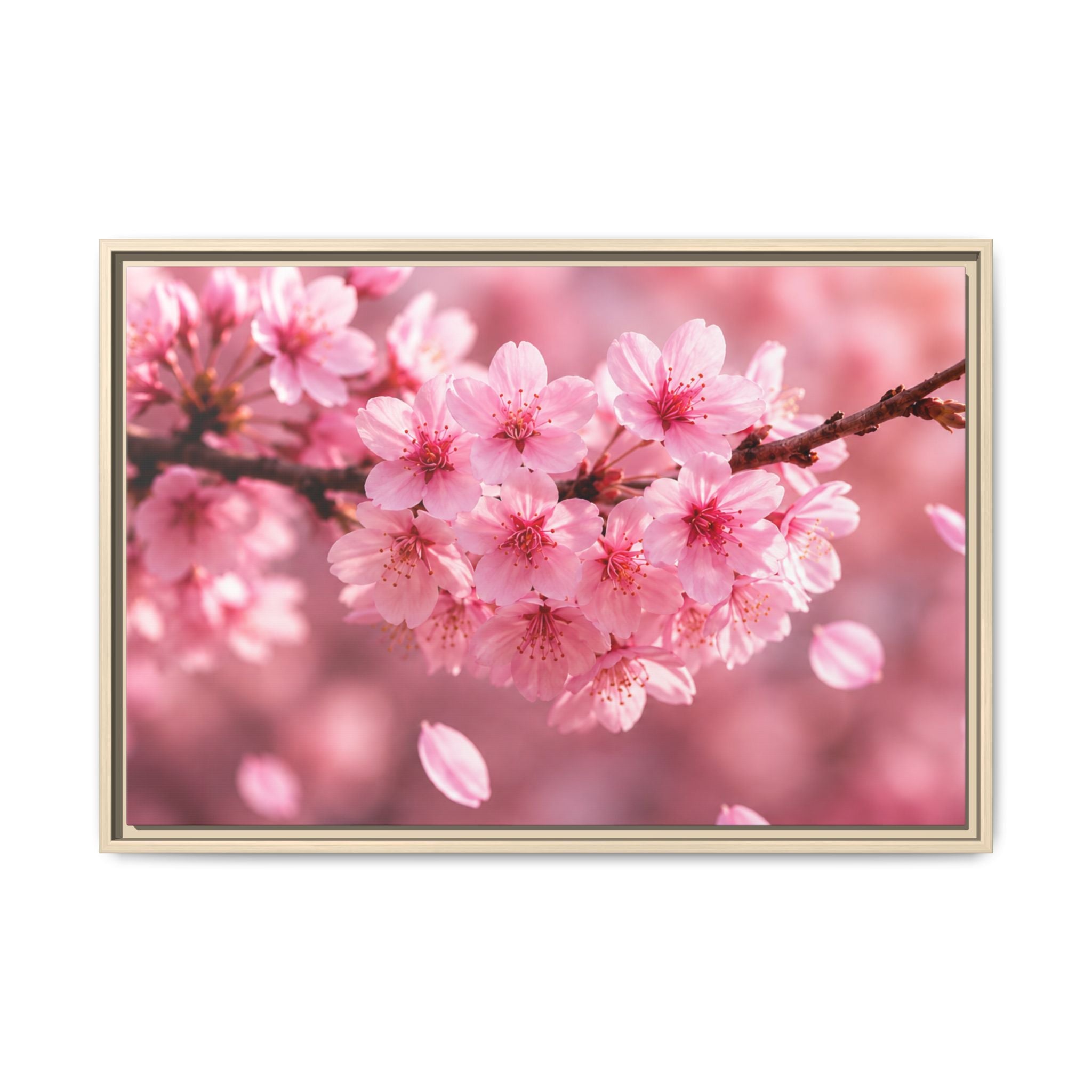 Framed sakura Blossom Canvas Print — Pink Sakura Wall Art