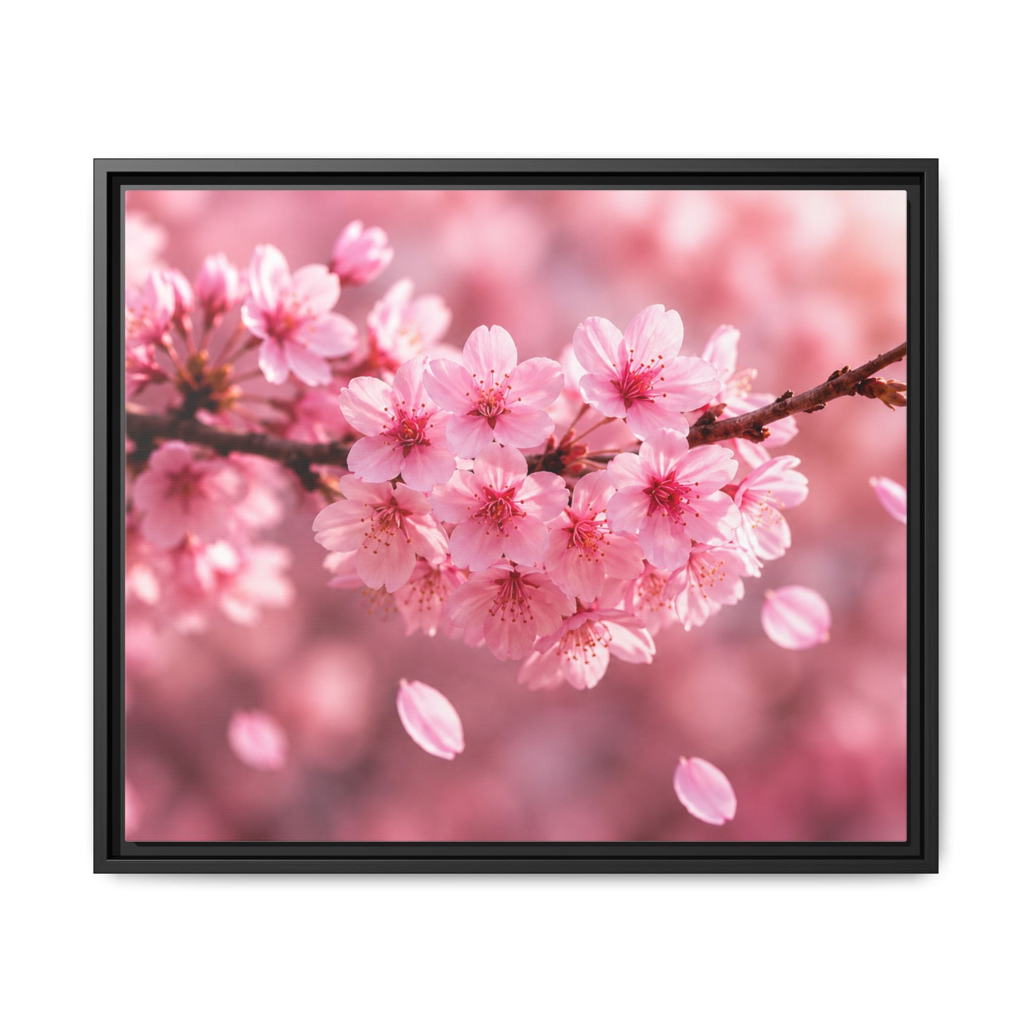 Framed sakura Blossom Canvas Print — Pink Sakura Wall Art