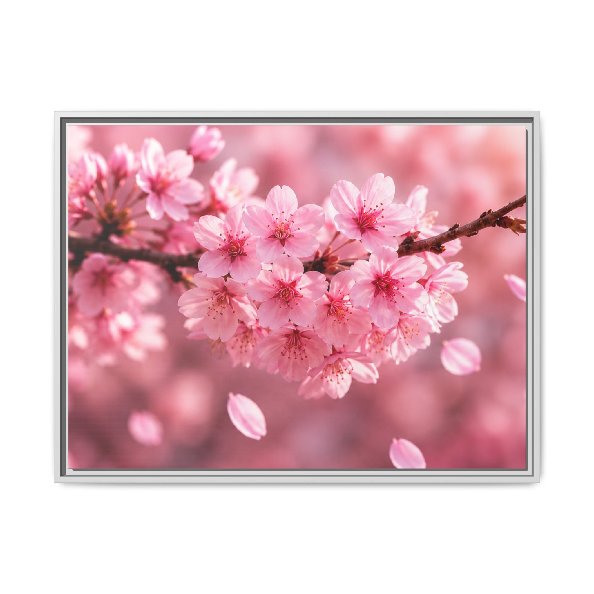 Framed sakura Blossom Canvas Print — Pink Sakura Wall Art