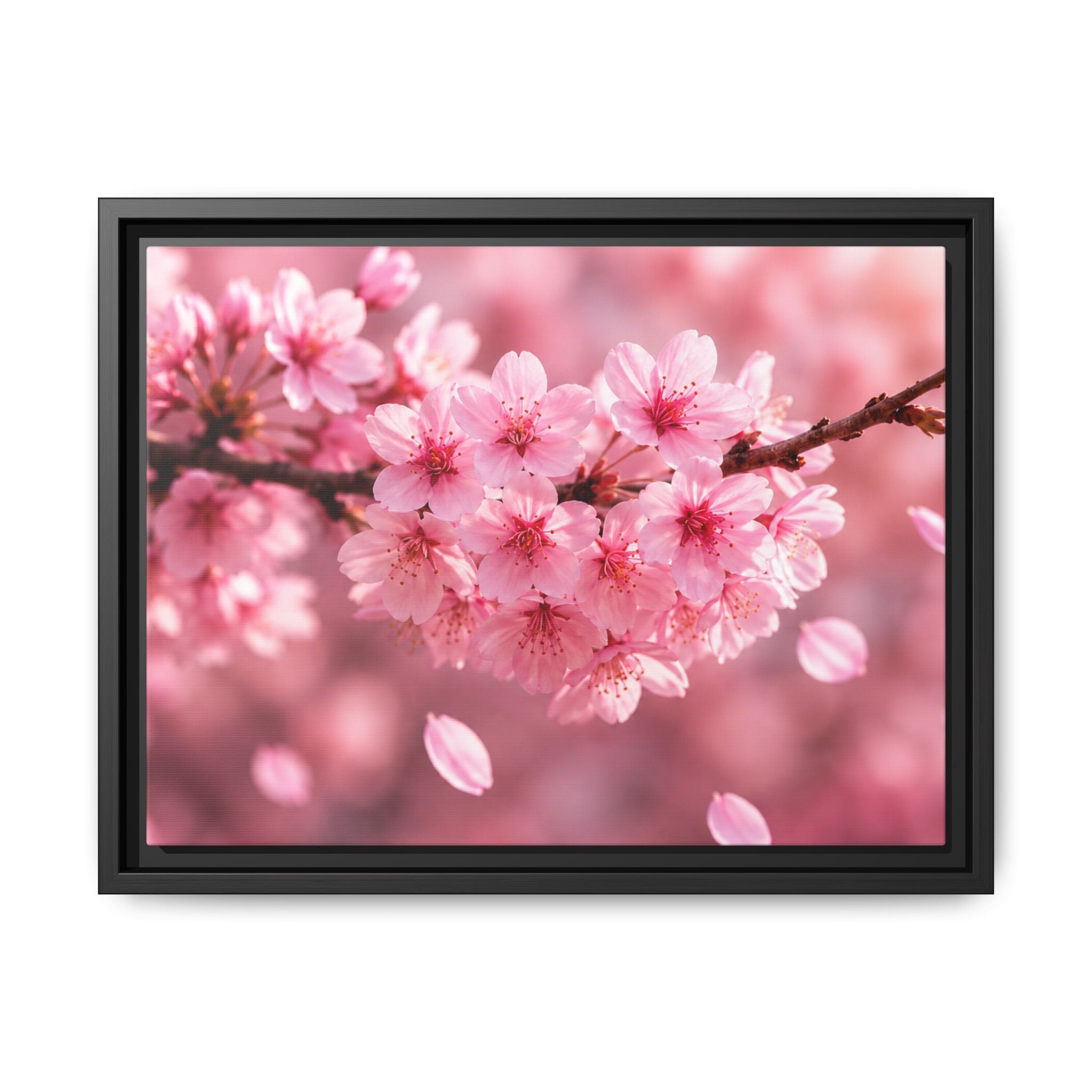 Framed sakura Blossom Canvas Print — Pink Sakura Wall Art