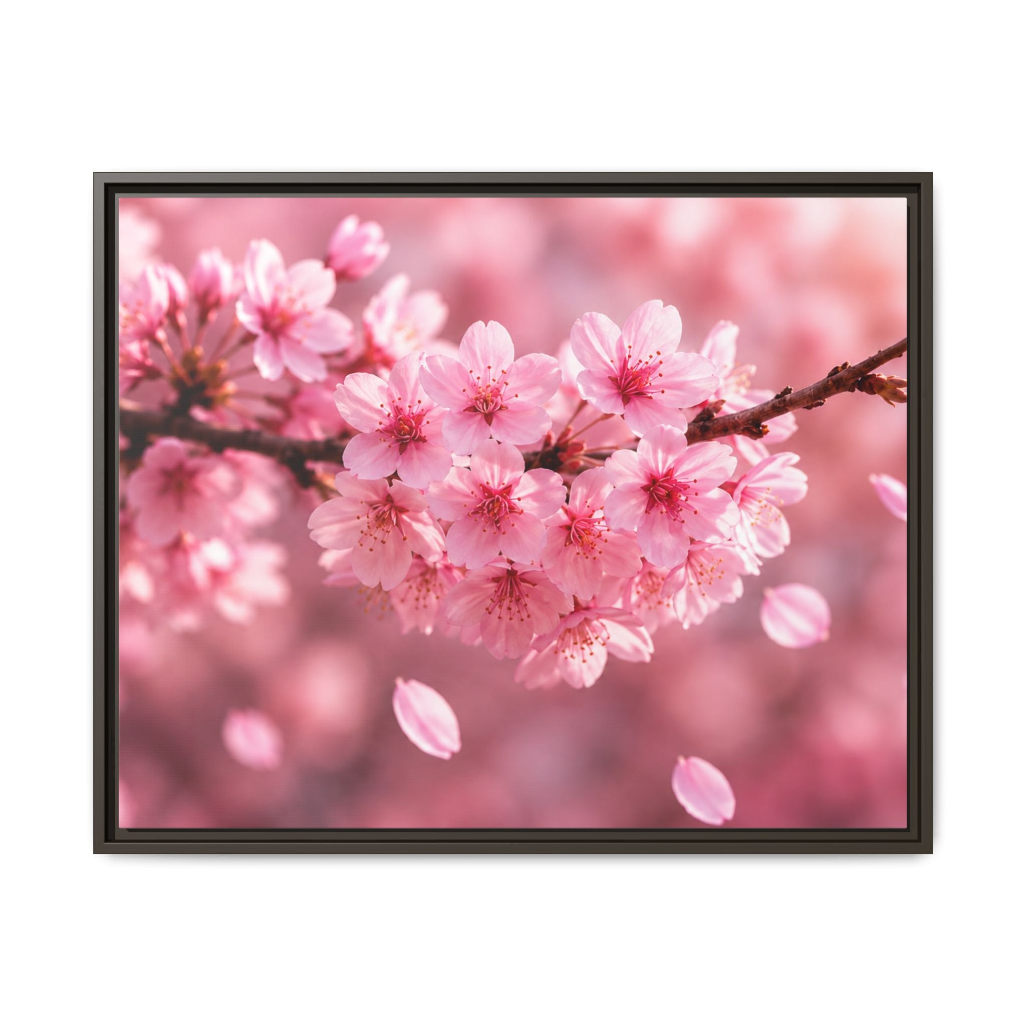 Framed sakura Blossom Canvas Print — Pink Sakura Wall Art