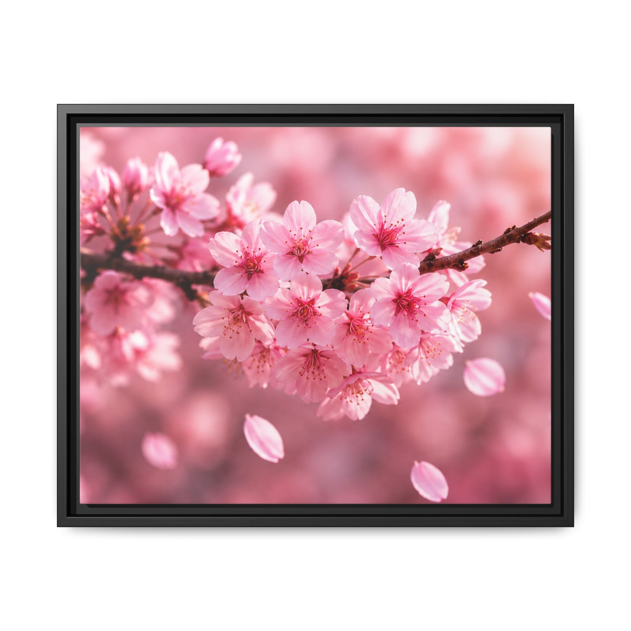Framed sakura Blossom Canvas Print — Pink Sakura Wall Art