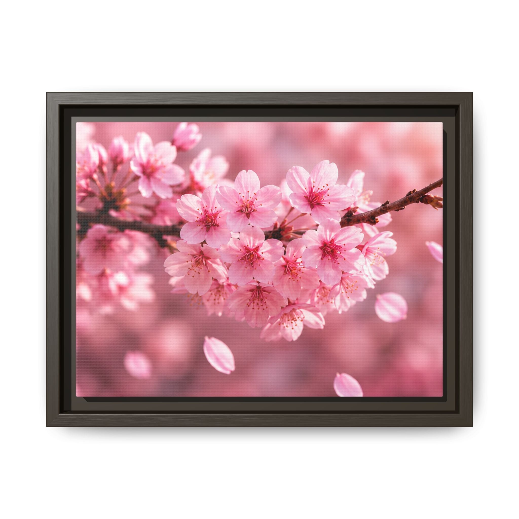 Framed sakura Blossom Canvas Print — Pink Sakura Wall Art