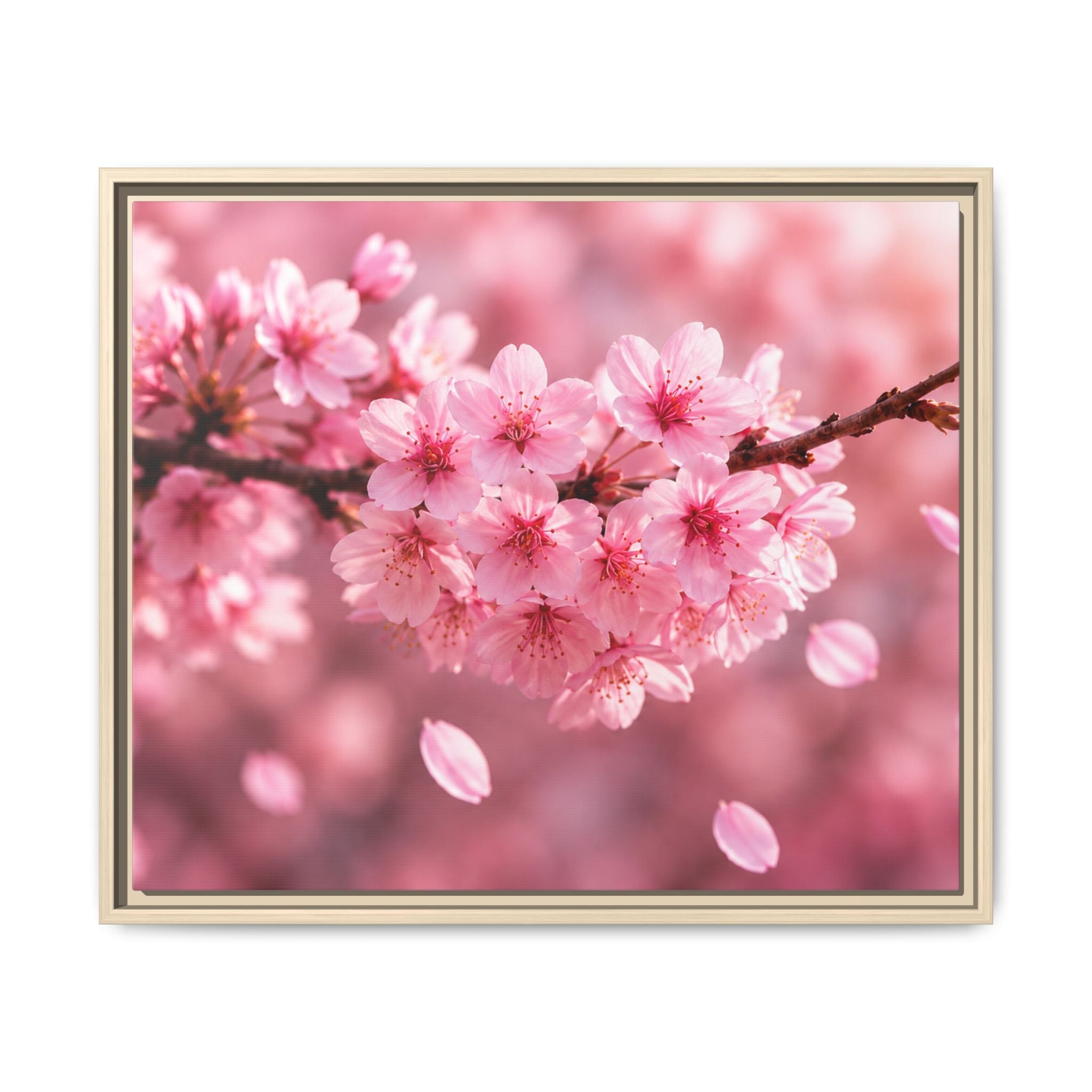 Framed sakura Blossom Canvas Print — Pink Sakura Wall Art