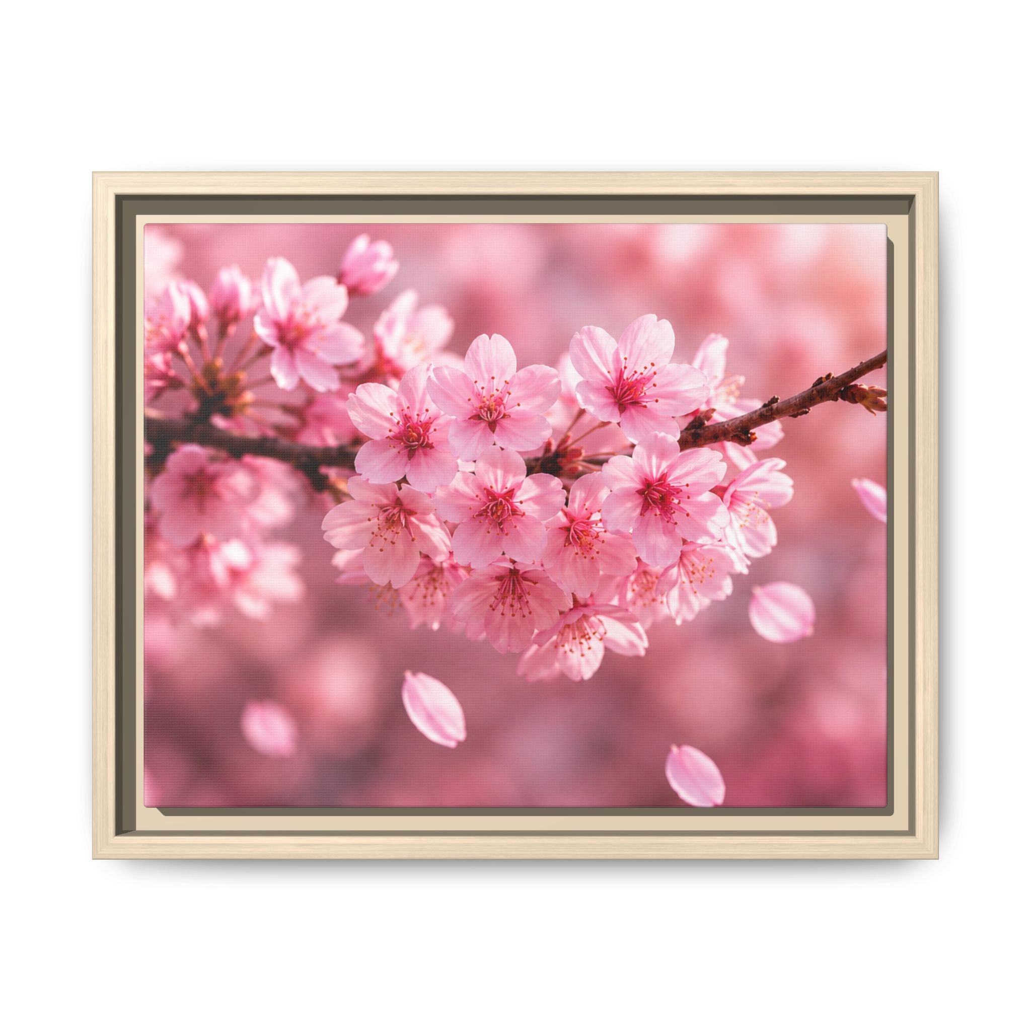 Framed sakura Blossom Canvas Print — Pink Sakura Wall Art