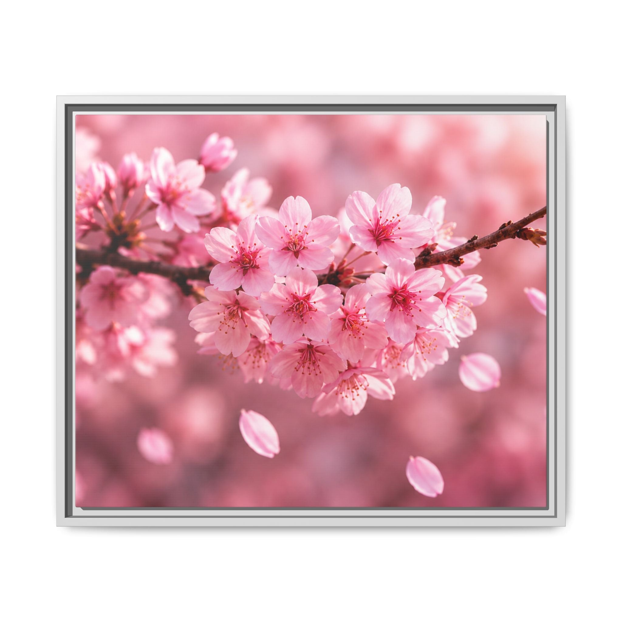Framed sakura Blossom Canvas Print — Pink Sakura Wall Art