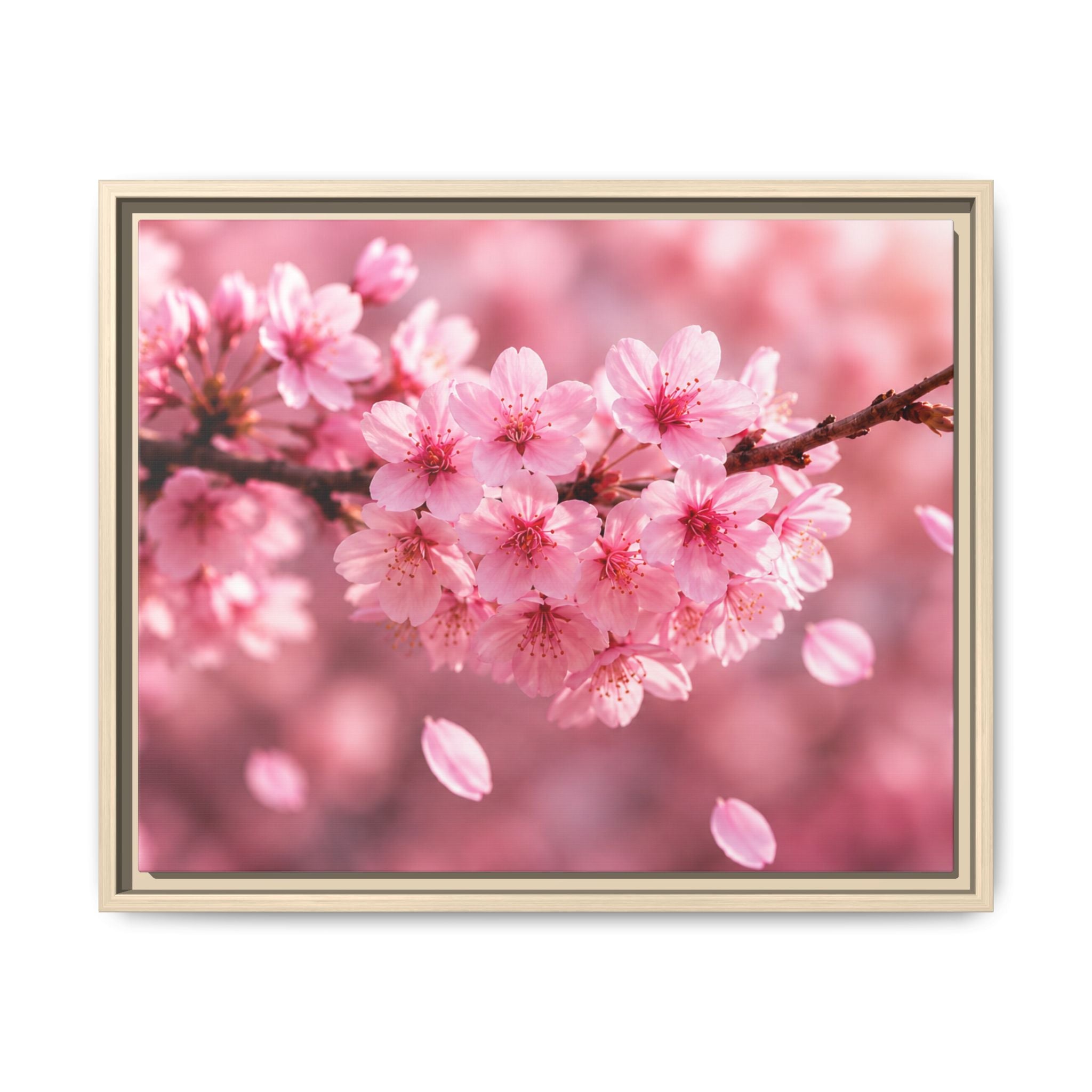 Framed sakura Blossom Canvas Print — Pink Sakura Wall Art