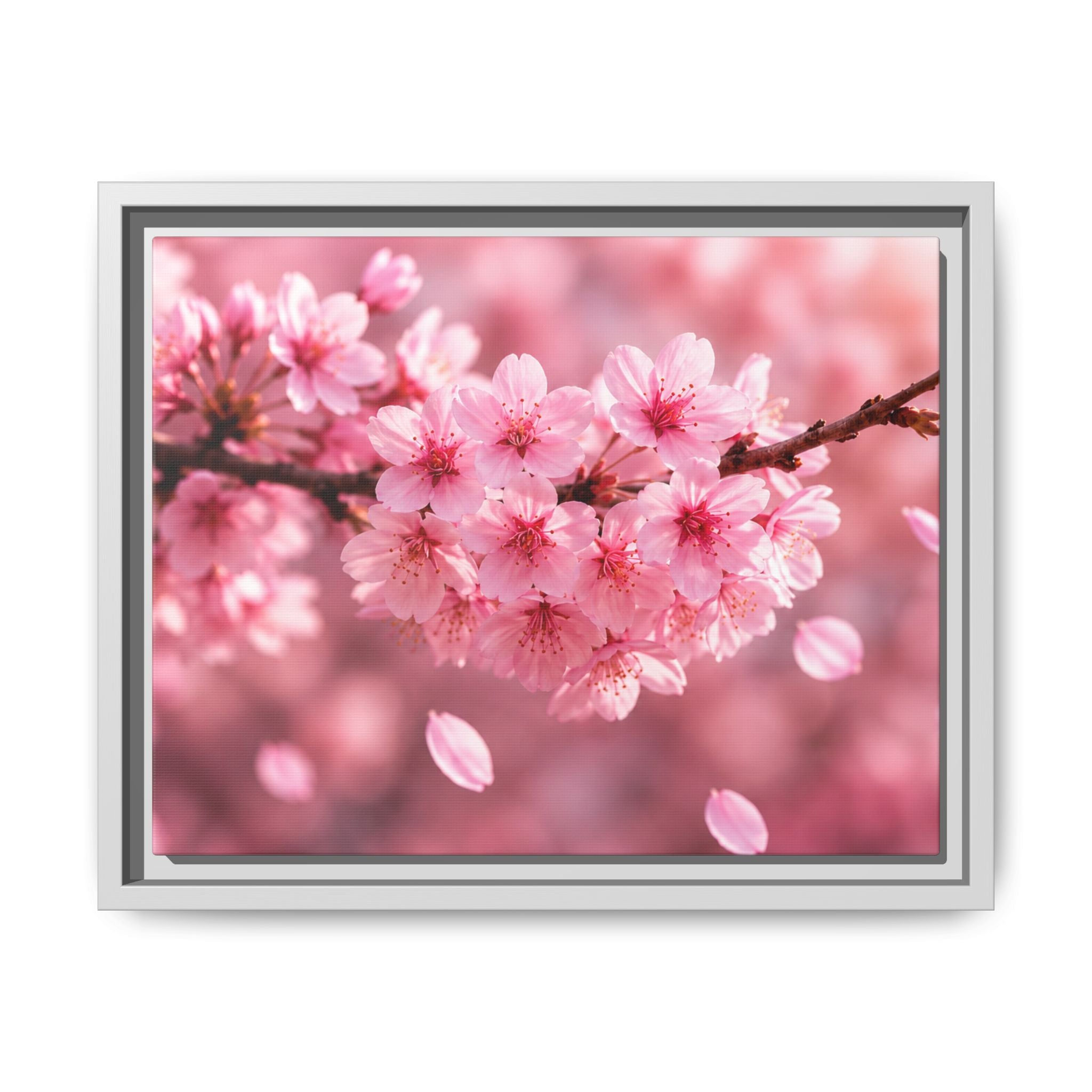 Framed sakura Blossom Canvas Print — Pink Sakura Wall Art