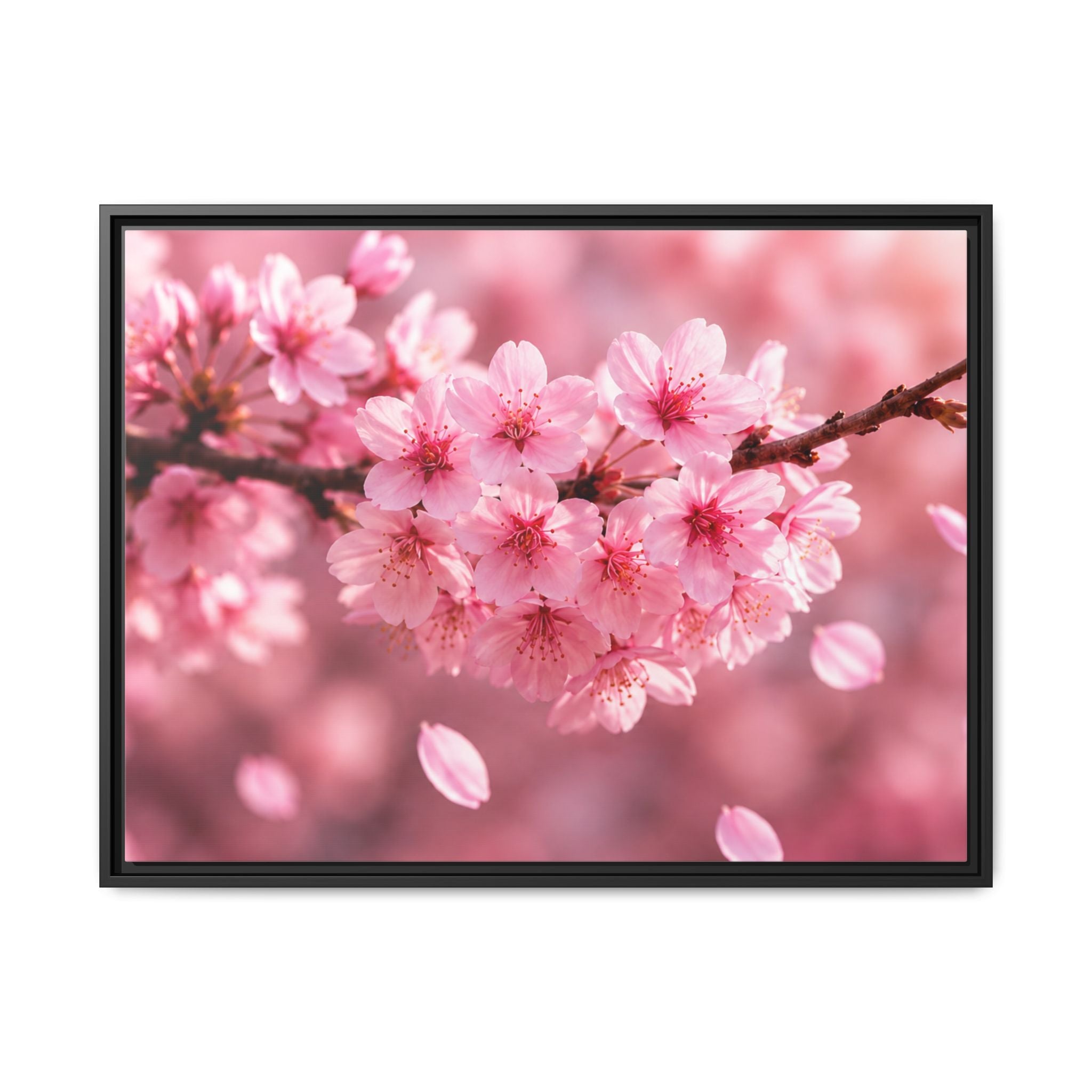 Framed sakura Blossom Canvas Print — Pink Sakura Wall Art