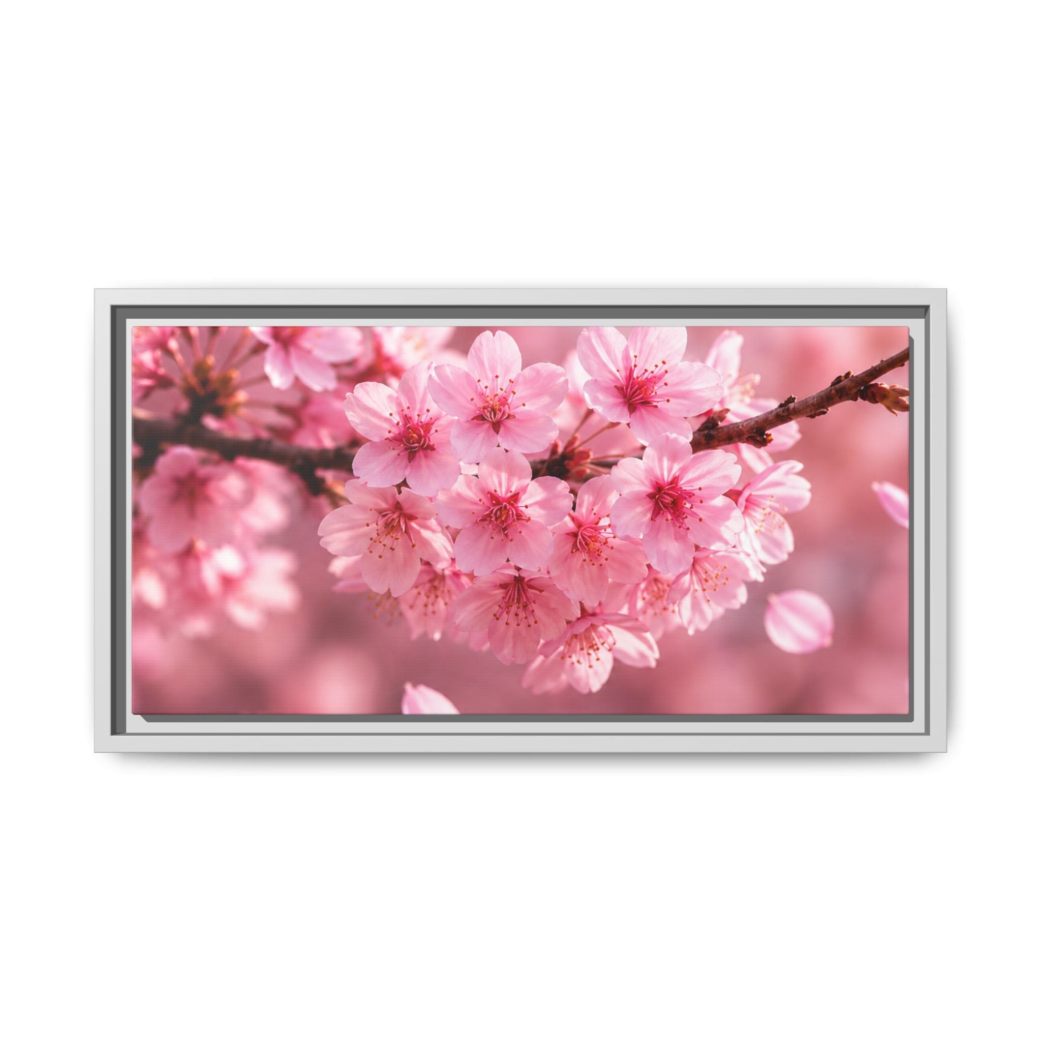 Framed sakura Blossom Canvas Print — Pink Sakura Wall Art