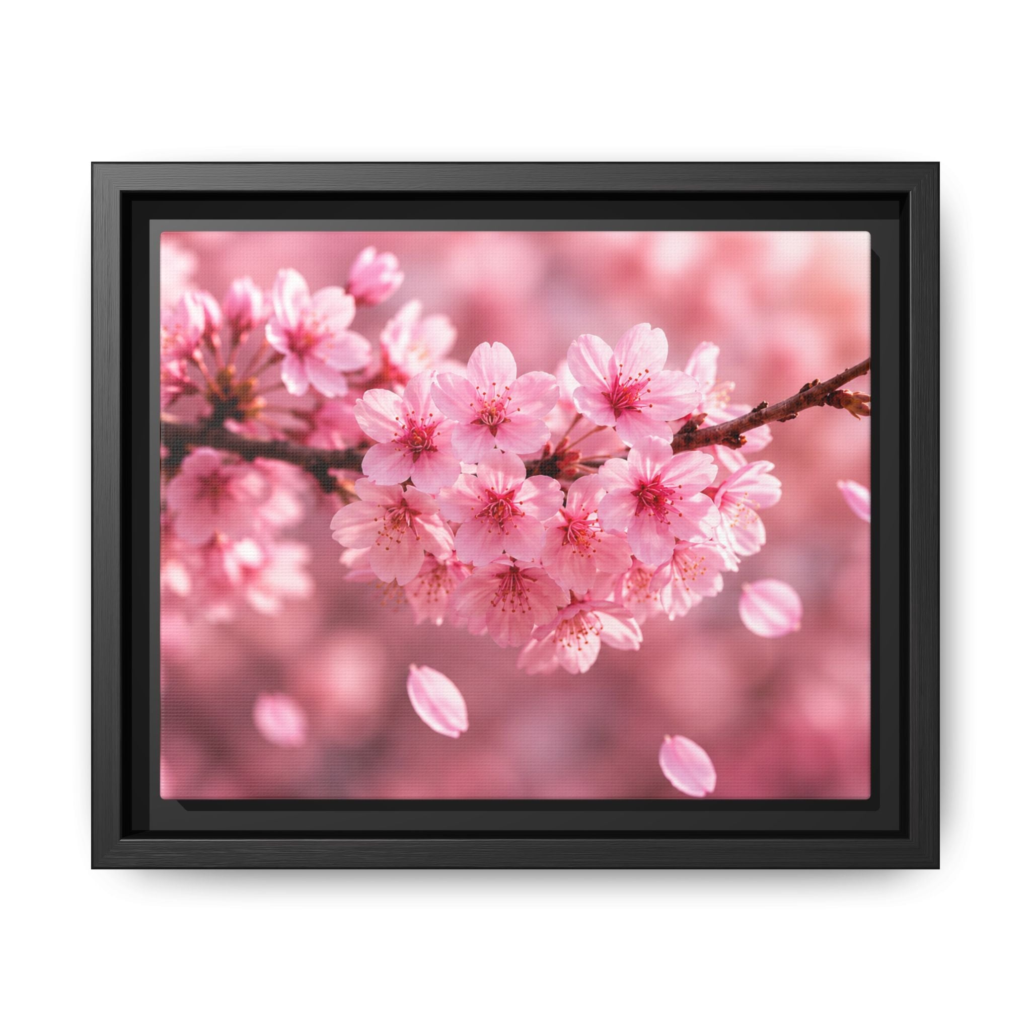 Framed sakura Blossom Canvas Print — Pink Sakura Wall Art