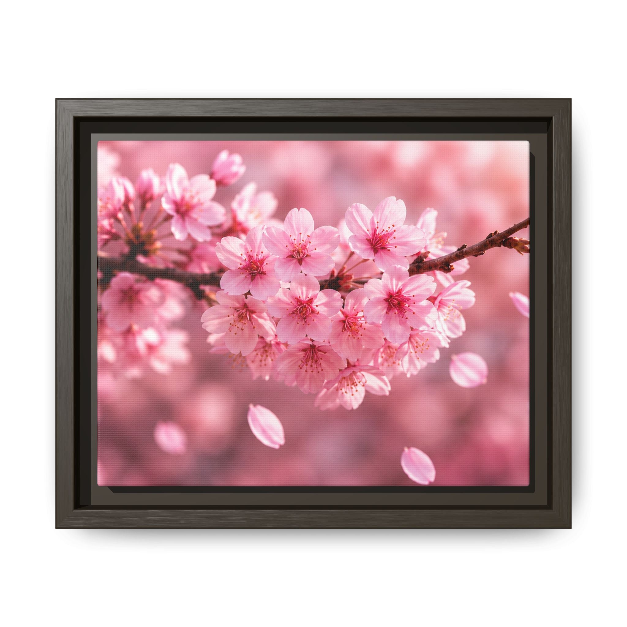 Framed sakura Blossom Canvas Print — Pink Sakura Wall Art