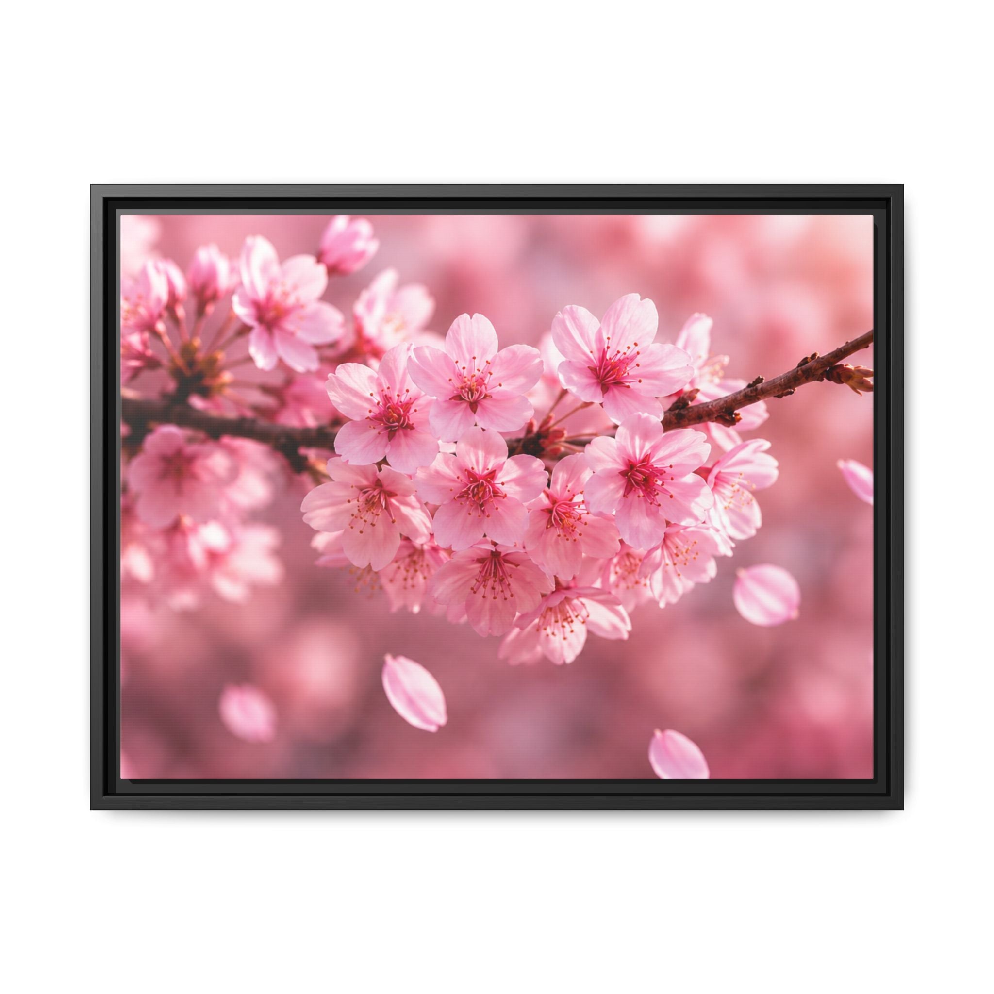Framed sakura Blossom Canvas Print — Pink Sakura Wall Art