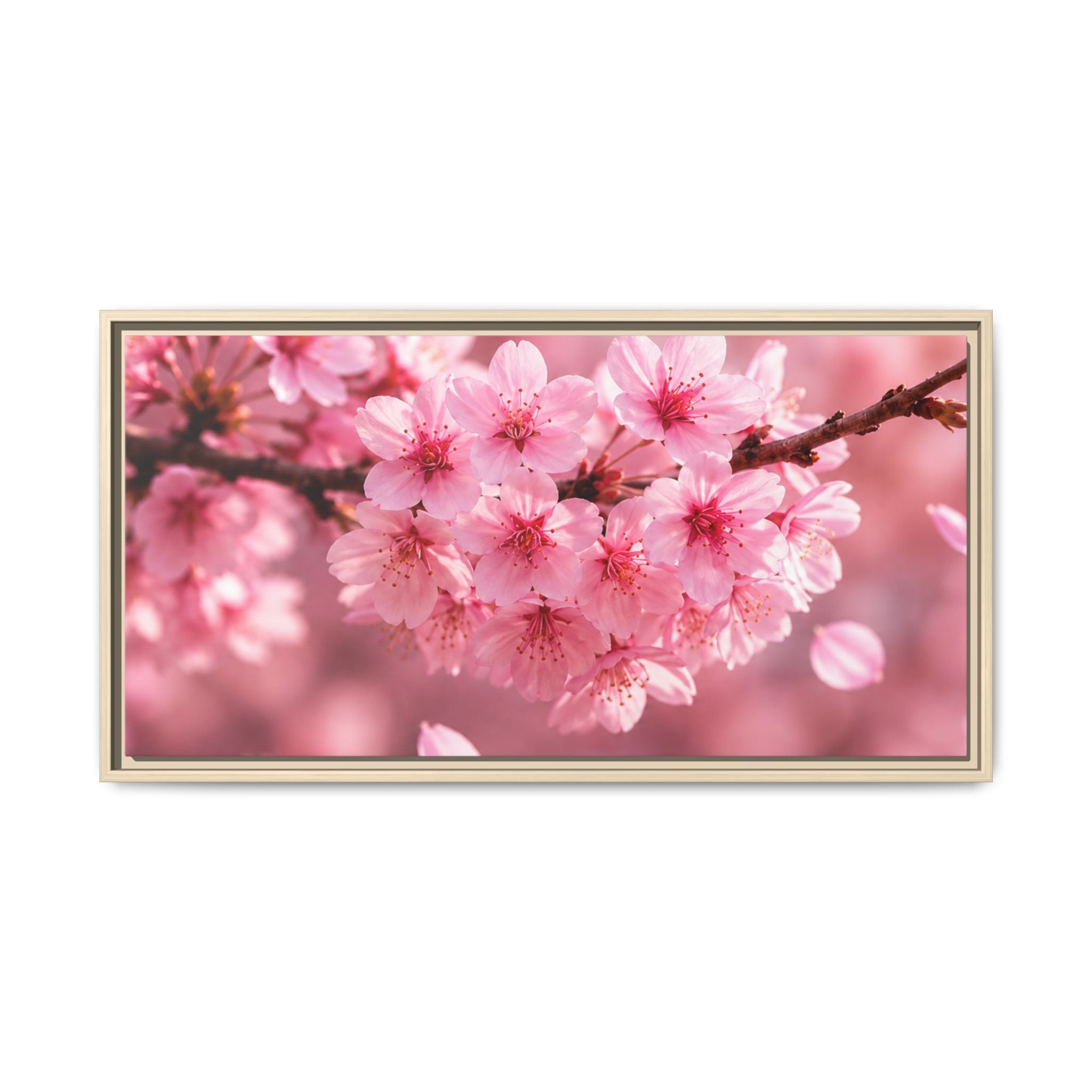 Framed sakura Blossom Canvas Print — Pink Sakura Wall Art